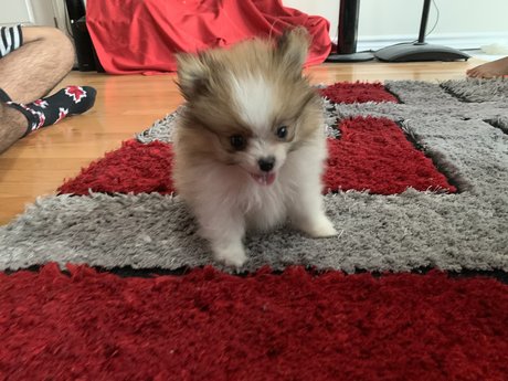 Kaju sex model pictures