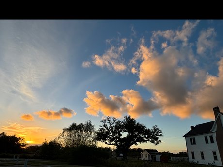 _Queen Ari_ naked actress pictures