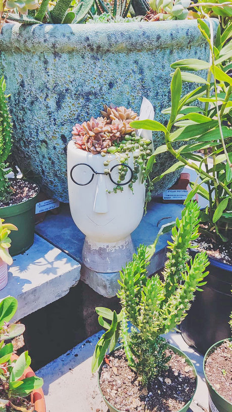 IrishGirl model best archive