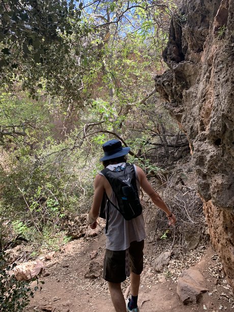 kiddclapps top star images