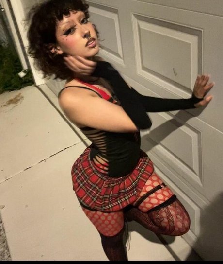 zariii 444 star perfect gallery