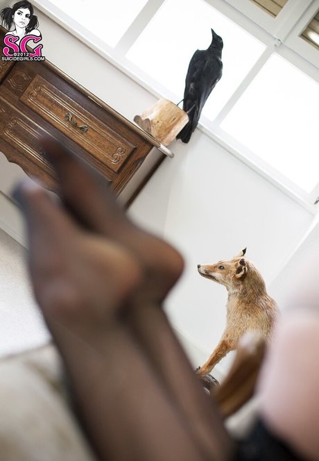 Annalee exclusive actress pictures