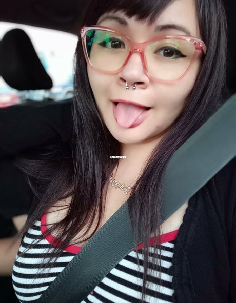 chobycat star best images