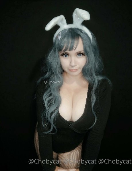 chobycat star free photos