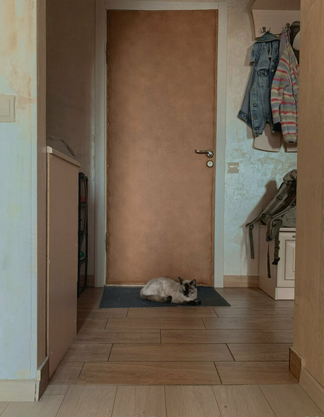 anast ass11 nice actress photos