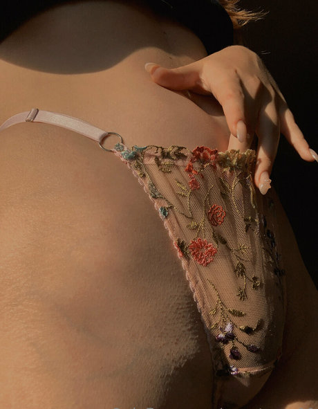 anast ass11 star top picture