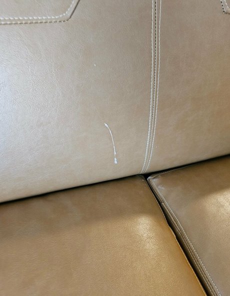 debaucherydesired erotic pornstar photo