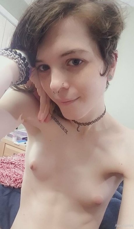 awwtumdabottom star free images