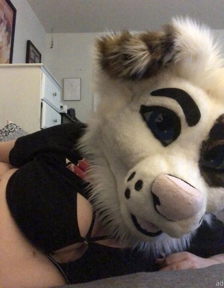 saoirsemutt sexy star img