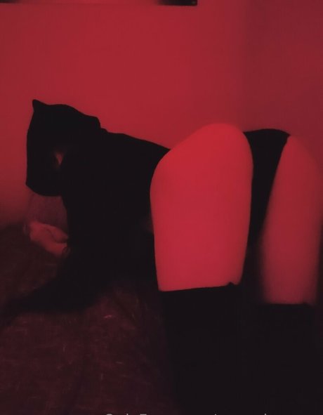 pancake zzzz model adult img