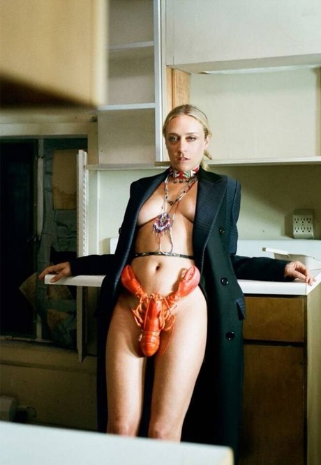 Chloe Sevigny free star pic
