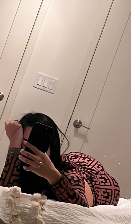 roselinllanes art star archive