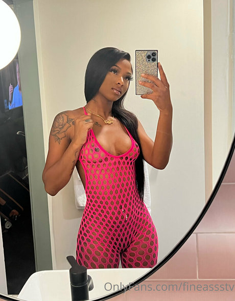 fineasssstv model img