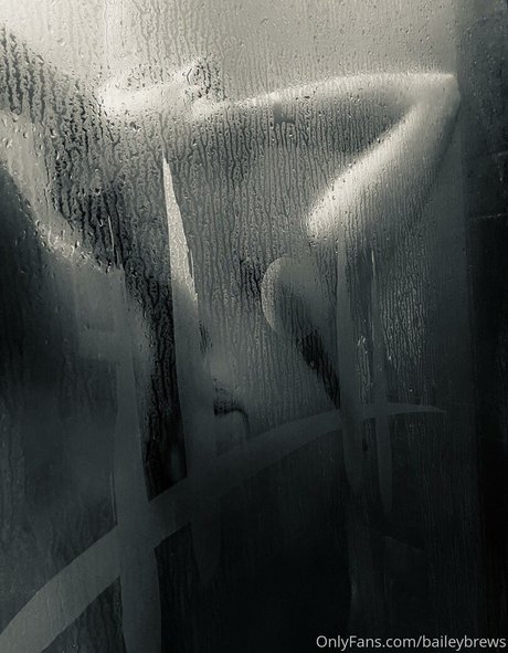 BaileyBrews model nice gallery