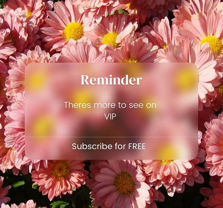 txsnacks exclusive pornstar archive