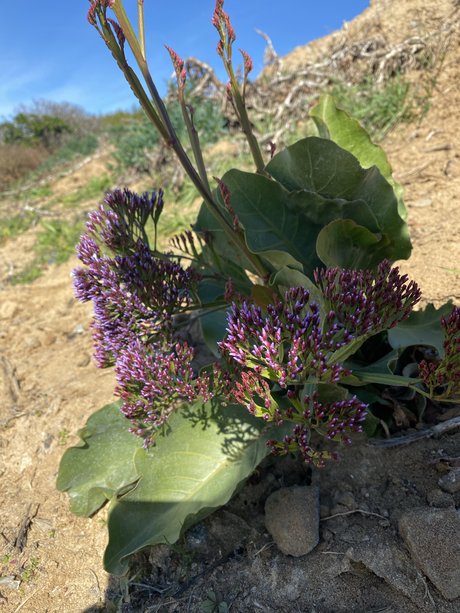 Fun fun pornstar nude pics