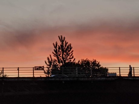 Skylar Rain erotic star pictures