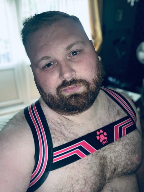 Phoenix02 model free archive