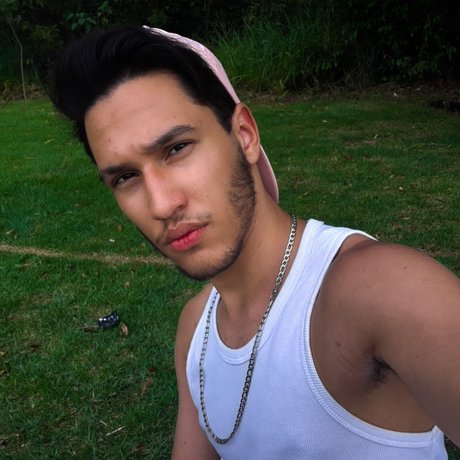 FELIXX model pretty picture