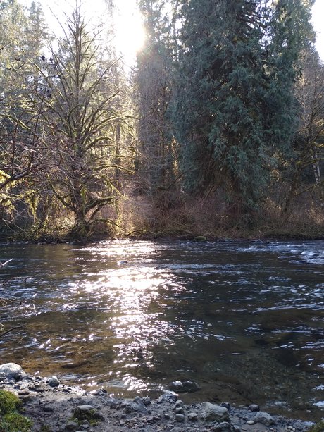 Quincy Quiet art actress pics