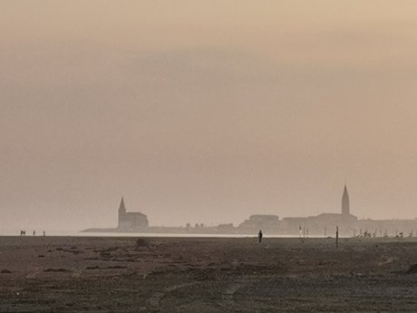 Koko 82 star perfect pictures