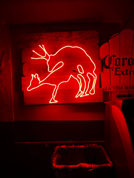 LoverBoy_ exclusive star gallery