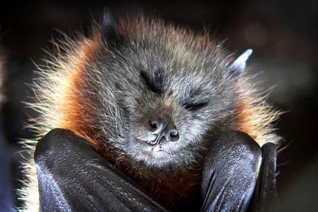 ThiccKit pretty pornstar gallery