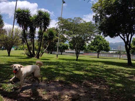 Juesva erotic actress images