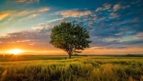 Mercedes Blanche pornstar art images