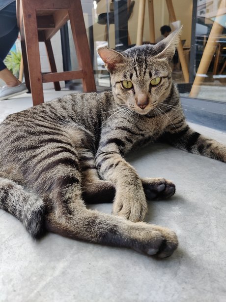 Manussapohn Mook top model photos