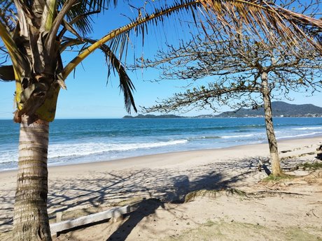 cumshot onlyfans perfect photos