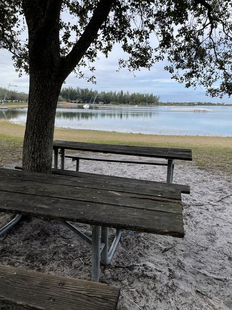 Labala top actress pic