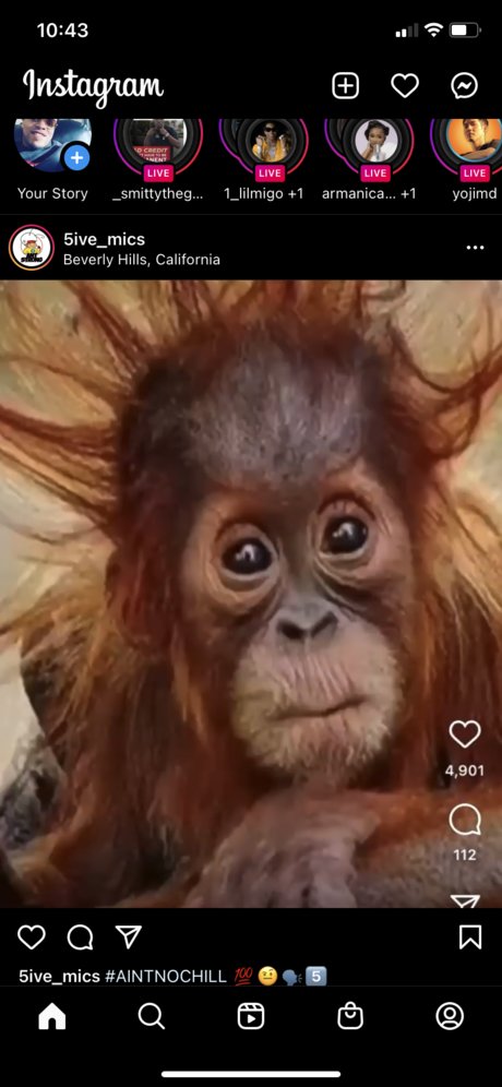 Drew john top model pictures