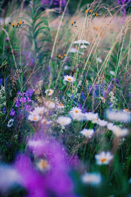 leslieevelynx3 star sexy image