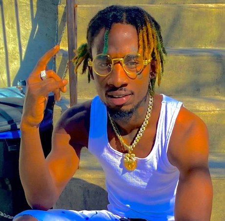 Shammy star high quality picture