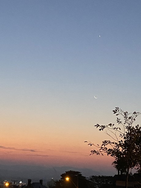 batatinha123 high quality star archive