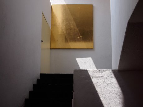 SavagePapillon adult model pic