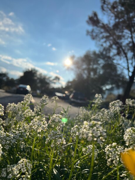 Marie C_ star nudes photo