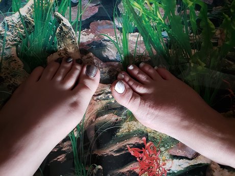 Yin1234 free model pics