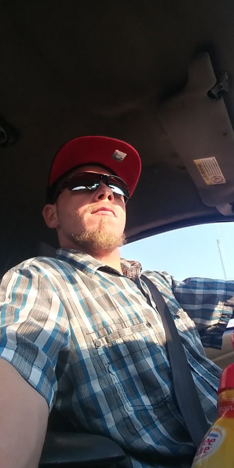 PAF DOG ENT free star galleries