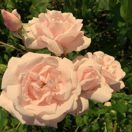 myuntitledlife_ sexy pornstar gallery