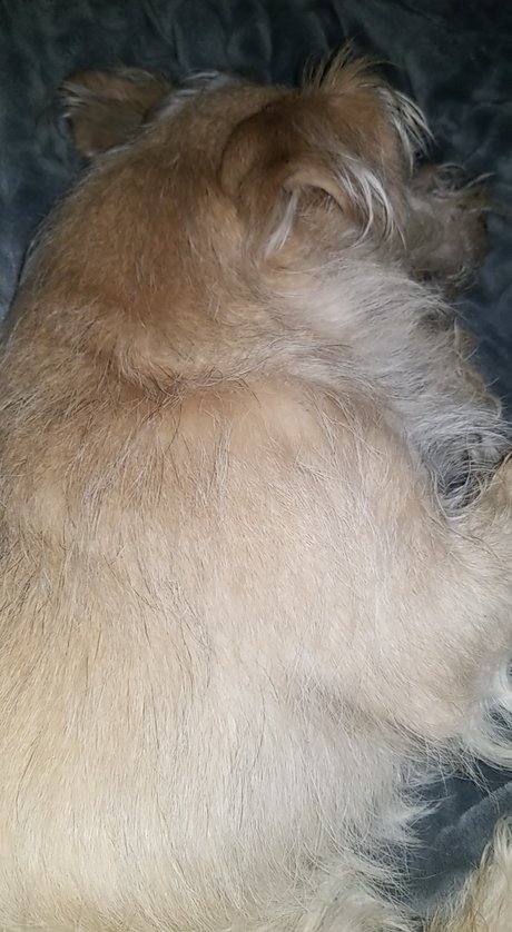 Allyson Watkins nudes model pics