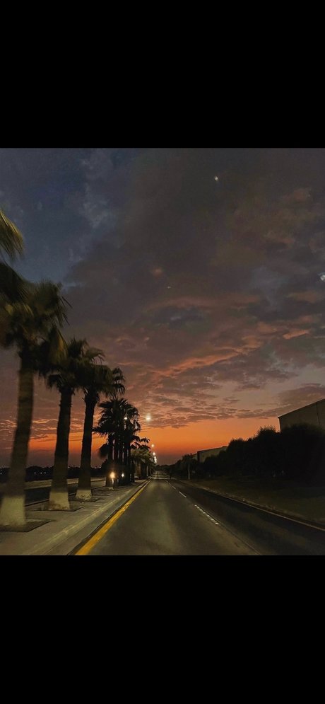 SAGE art model images