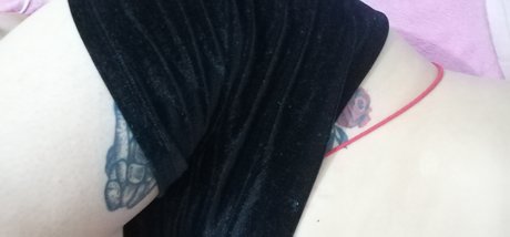 Korall star adult img