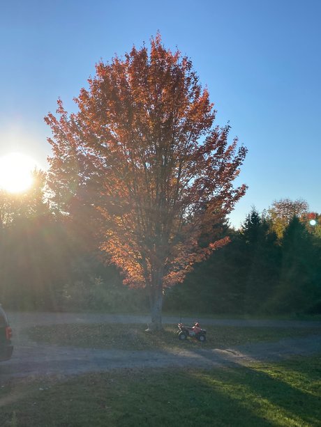 Ollyoop314 model nice pic