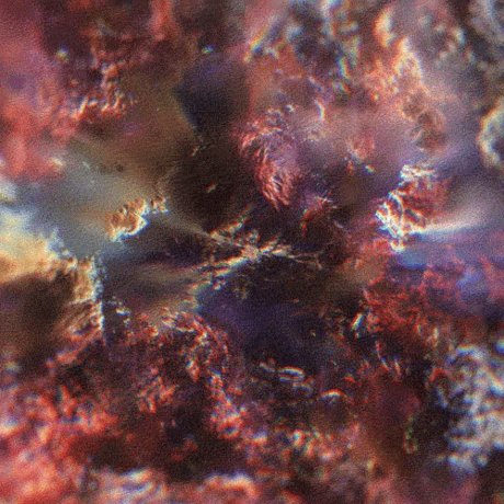 eartha klitt beautiful model images