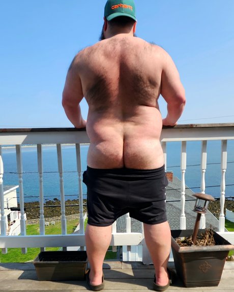 AlphaMuscleGut xxx model gallery