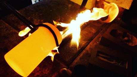 Pit Bullion star xxx image