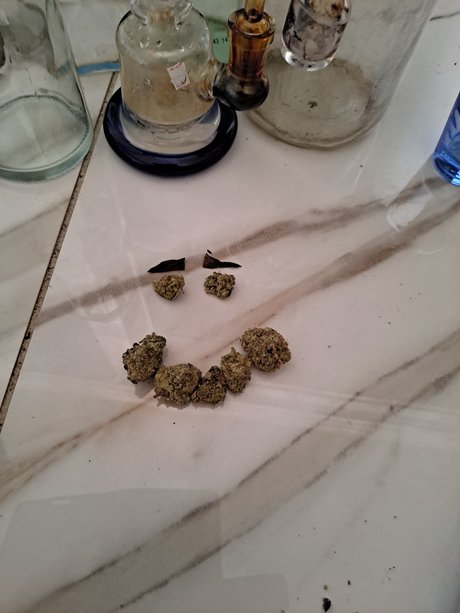 Reeko star free photos