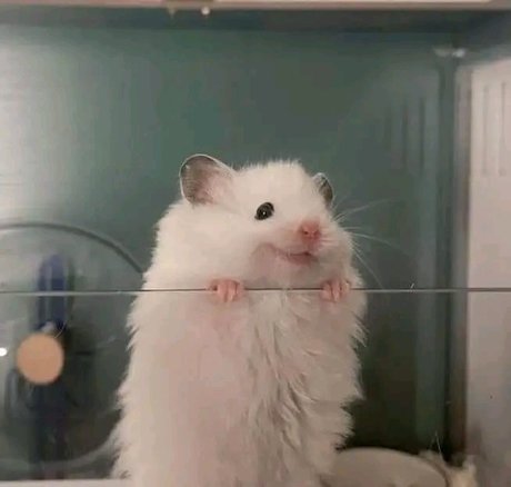 Lira Morrison beautiful pornstar pictures